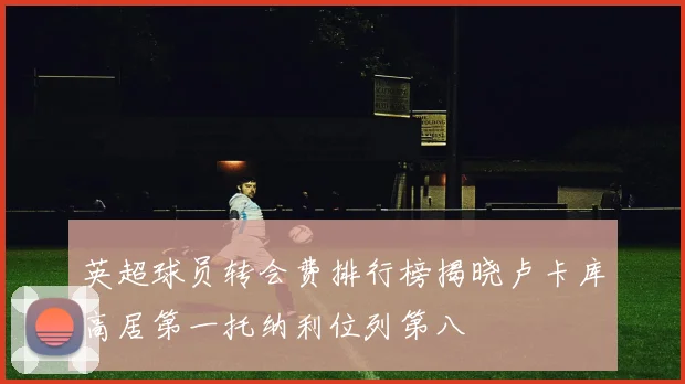 英超球员转会费排行榜揭晓卢卡库高居第一托纳利位列第八