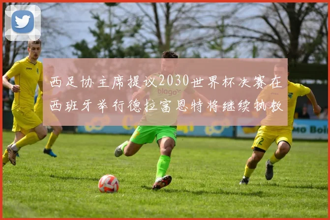 西足协主席提议2030世界杯决赛在西班牙举行德拉富恩特将继续执教国家队